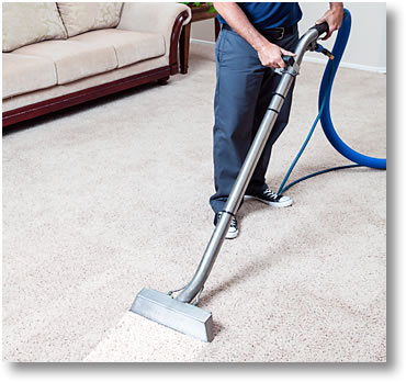 carpet cleaning inner west