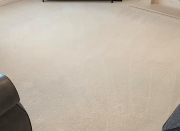 expert carpet cleaning inner west